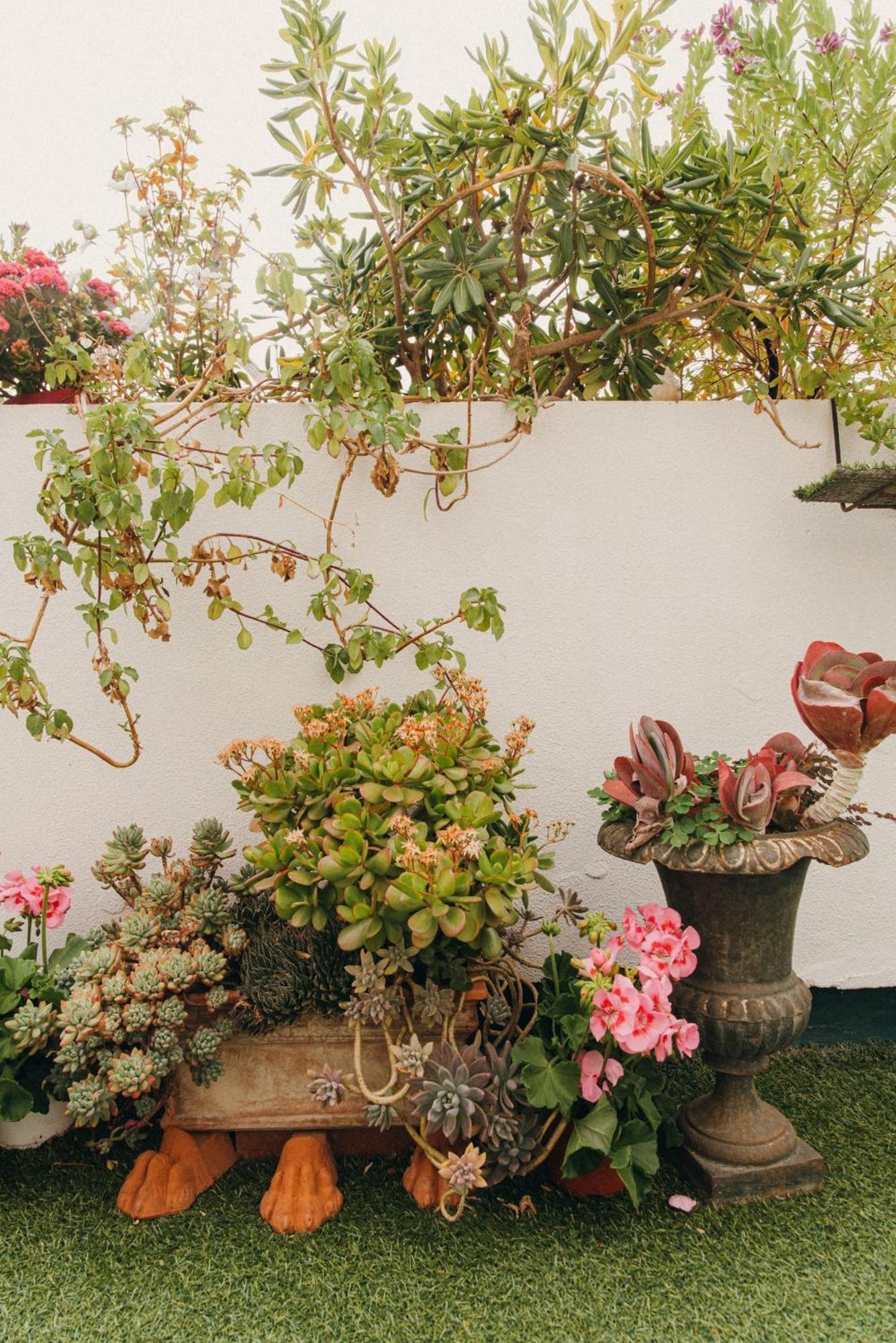 La Petite Maison Marsilya Dış mekan fotoğraf